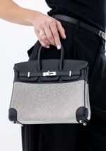 Hermes Birkin25 toile H canvas/swift leather Ecru-Noir - Image 2