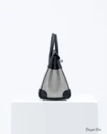 Hermes Birkin25 toile H canvas/swift leather Ecru-Noi - Image 2