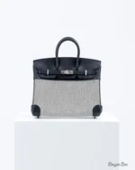 Hermes Birkin25 toile H canvas/swift leather Ecru-Noi