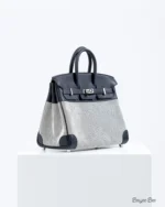 Hermes Birkin25 toile H canvas/swift leather Ecru-Noi - Image 3